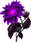 Purple Sunflower-RM - бесплатно png анимированный гифка