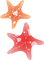 Starfish  Bb2 - Free PNG Animated GIF