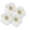 déco fleurs blanche