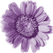 Kaz_Creations Colours Deco Flower - ilmainen png animoitu GIF