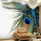 Kaz_Creations Deco Peacock Backgrounds Background - png gratis GIF animasi