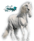Cheval - darmowe png animowany gif