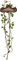 plants - bezmaksas png animēts GIF