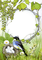 ram ptak - Free PNG Animated GIF
