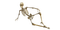 skeleton bp - darmowe png animowany gif
