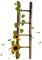 ladder sunflower deco  tournesol échelle