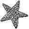 silver star gif (created with gimp) - Nemokamas animacinis gif animuotas GIF