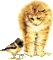 chat et petit oiseau - GIF animado gratis GIF animado