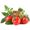 vegetables bp - png gratuito GIF animata