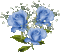 ♥Flower rose♥ - Ücretsiz animasyonlu GIF animasyonlu GIF