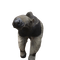 anteater sniffing - gratis png geanimeerde GIF