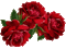 ruže - Бесплатный анимированный гифка анимированный гифка