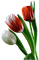 fleur - png gratis GIF animado