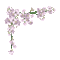 Flower, Flowers, Corner Border, Animation, GIF - Jitter.Bug.Girl