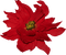 Kaz_Creations Deco Flower Christmas Noel - Free PNG Animated GIF