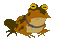 Toad Blinking - GIF เคลื่อนไหวฟรี GIF แบบเคลื่อนไหว