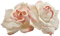 Kaz_Creations Deco  Flowers Colours Victorian - Free PNG Animated GIF