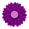 Kaz_Creations Deco Flower Colours - gratis png animeret GIF
