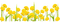 Kaz_Creations Deco Flowers Dandelion Flower - PNG gratuit GIF animé