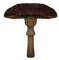mushroom - png ฟรี GIF แบบเคลื่อนไหว