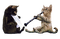 cat chat katze animal music  animaux tube mignon - 免费PNG 动画 GIF