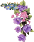 fleurs - Безплатен анимиран GIF анимиран GIF