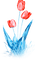soave deco flowers garden spring tulips grass - ilmainen png animoitu GIF