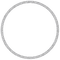 Silver Circle Frame-RM - 無料png アニメーションGIF