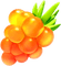 fruit - PNG gratuit GIF animé