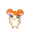 hamtaro blowing bubbles cute soft - Free animated GIF Animated GIF