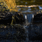 ruisseau  forest autumn gif - Besplatni animirani GIF animirani GIF
