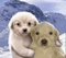 best friends - Free PNG Animated GIF