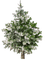 Christmas Tree Yellow White Winter - Bogusia