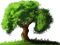 Kaz_Creations Trees Tree - png grátis Gif Animado