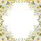 Daisies.Marguerites.Cadre.Frame.Victoriabea - 免费PNG 动画 GIF