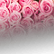 Pink roses - PNG gratuit GIF animé