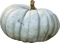white pumpkin autumn deco kikkapink - PNG gratuit GIF animé