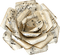 white-vit-blomma-flower-deco-minou52 - δωρεάν png κινούμενο GIF