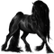 Black Horse - PNG gratuit GIF animé