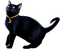 Cat.Black - безплатен png анимиран GIF