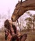 woman with horse bp - ingyenes png animált GIF