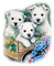 puppy dogs - png gratuito GIF animata