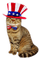 Cat.Patriotic.4th Of July - By KittyKatLuv65 - Free PNG Animated GIF