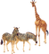 Giraffe bp - zadarmo png animovaný GIF
