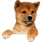 dog katrin - Free PNG Animated GIF