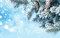 Background Sweet Winter - Δωρεάν κινούμενο GIF κινούμενο GIF