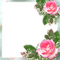 frame cadre flowers