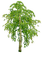 träd--- tree - png gratis GIF animado