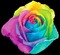 image encre couleur texture fleurs mariage rose printemps arc en ciel edited by me - 免费PNG 动画 GIF