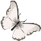 ♡§m3§♡ butterfly spring yellow animated - Free animated GIF Animated GIF